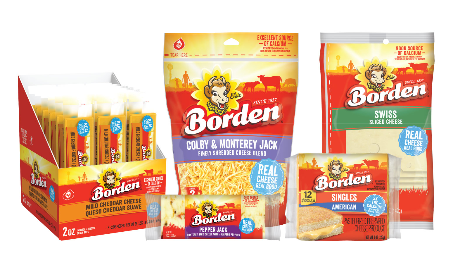 Borden Packaging Transition