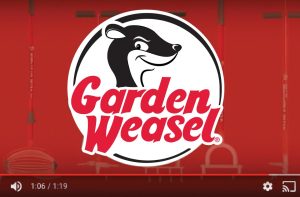 Video Production - Brand Story