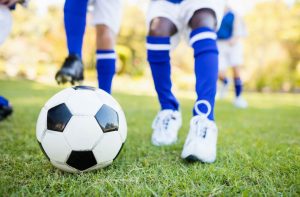 Springfield - Park Board - Branding